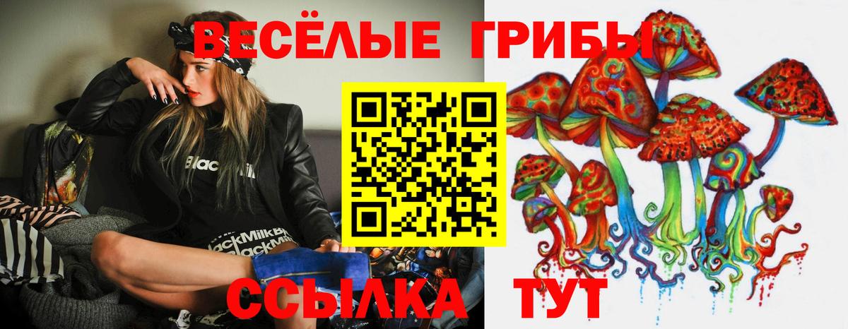 Киселёвск  Галлюциногенные грибы MAGIC MUSHROOMS  как найти   Вход с VPN 